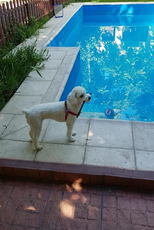 Chalet de Bassi主图