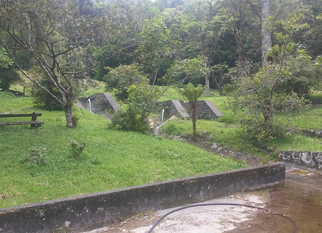 Parque Natural Municipal Nascentes de Paranapiacaba景点图片