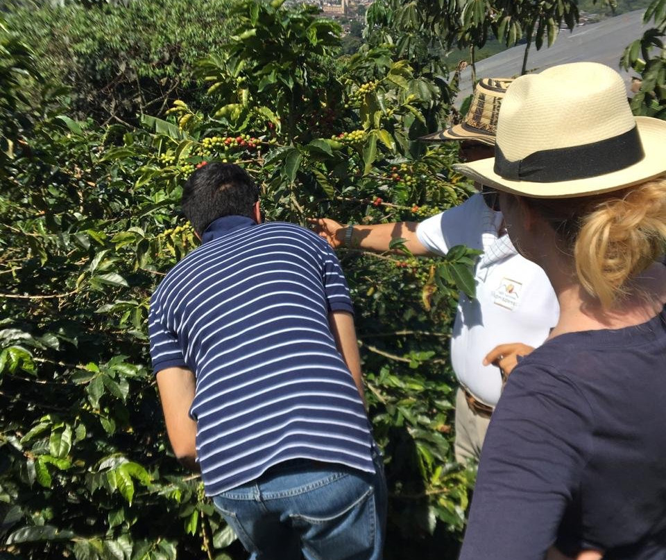 Cafe Hacienda Horizontes-Marsella必去景点