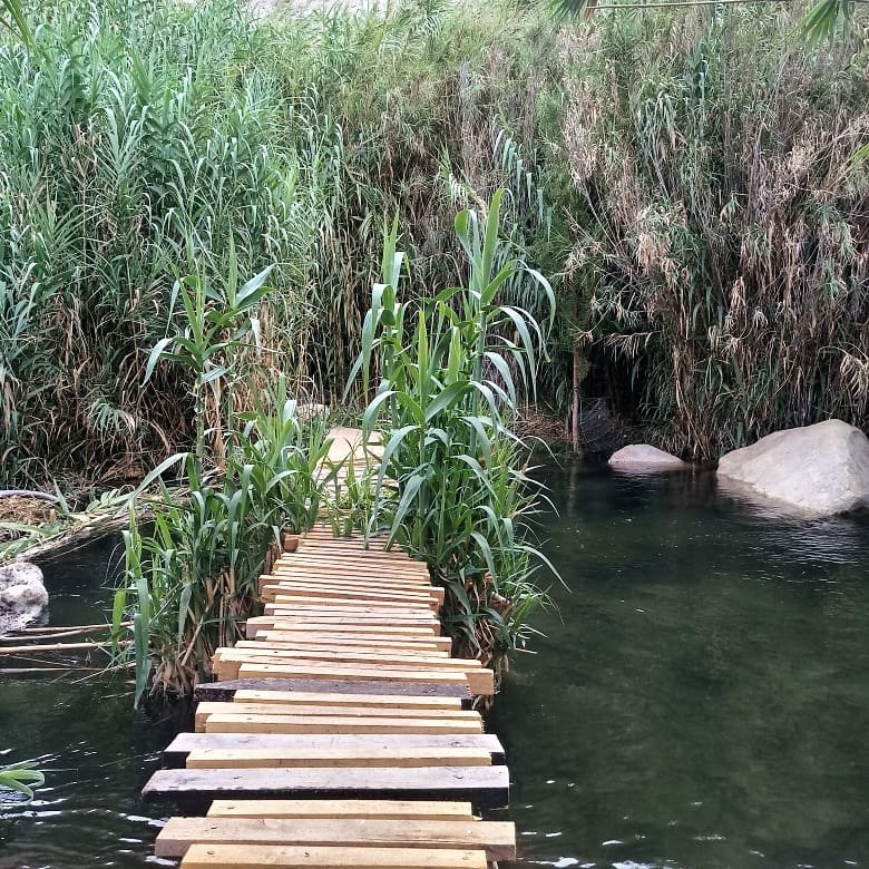 Hotel Les Pleyades主图