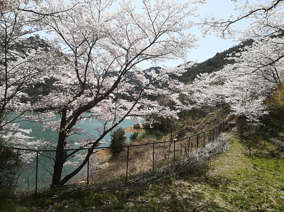 Okuyama Ameyama Nature Park景点图片