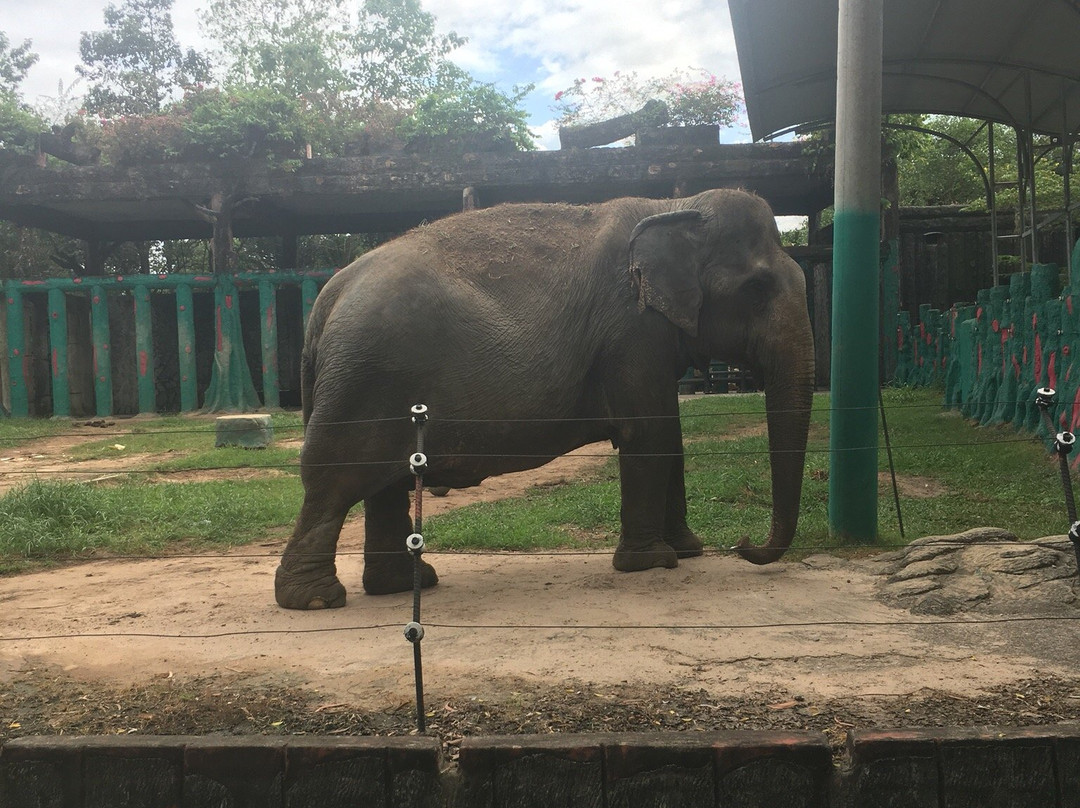 Dai Nam Hotel Binh Duong主图
