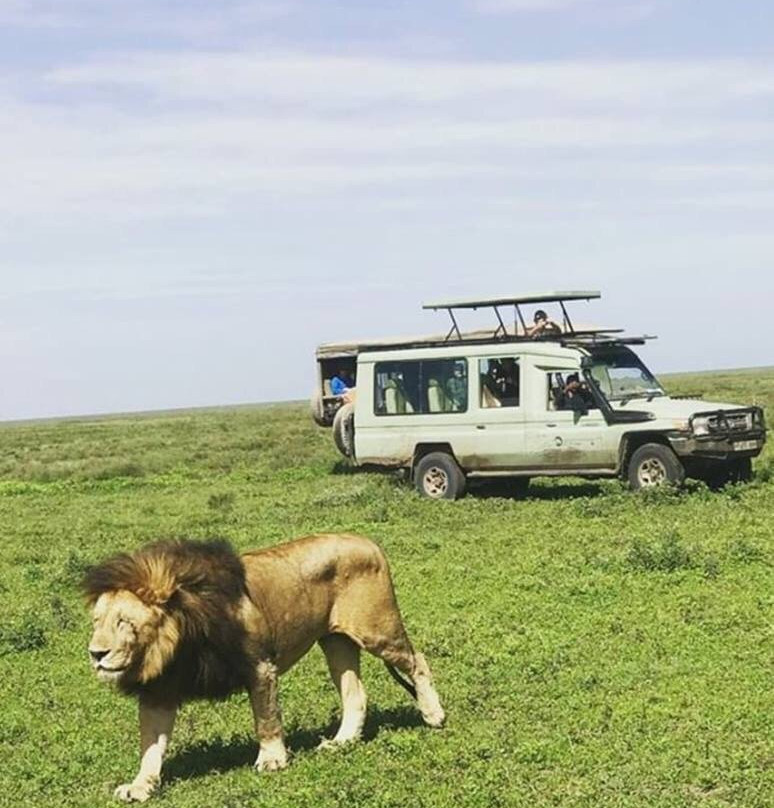 EpicTanzania Safaris-阿鲁沙必去景点