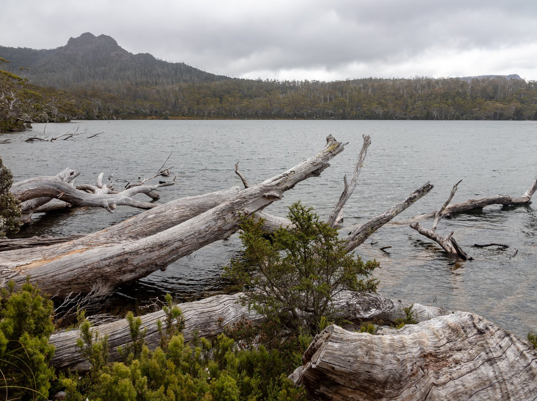 Shadow Lake Circuit Walk景点图片