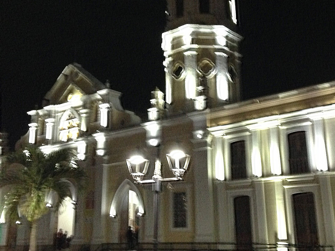 Catedral de Santa Ana景点图片