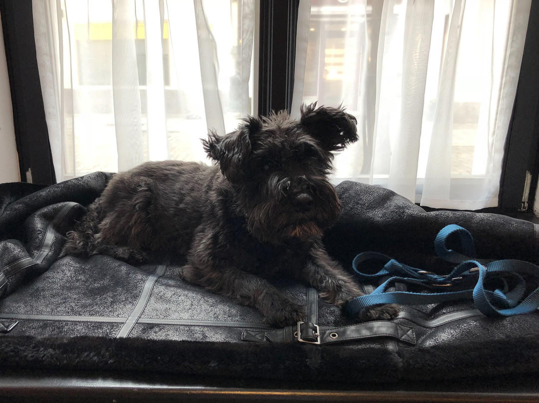 Dormero Hotel Kelheim主图