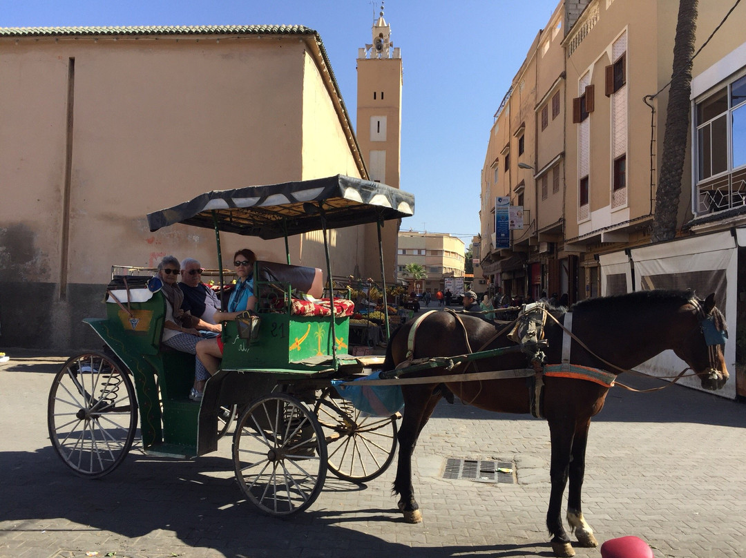 Taroudant Caleche Carriage Tours-塔鲁丹特必去景点
