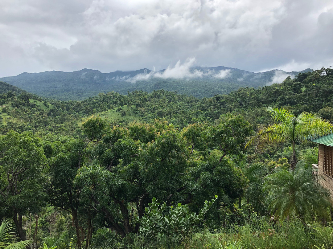 Yuquiyu Treehouses主图