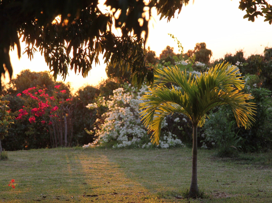 La Cour Mont-Vert主图