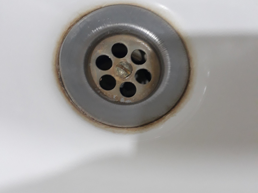 royal özçelik otel主图