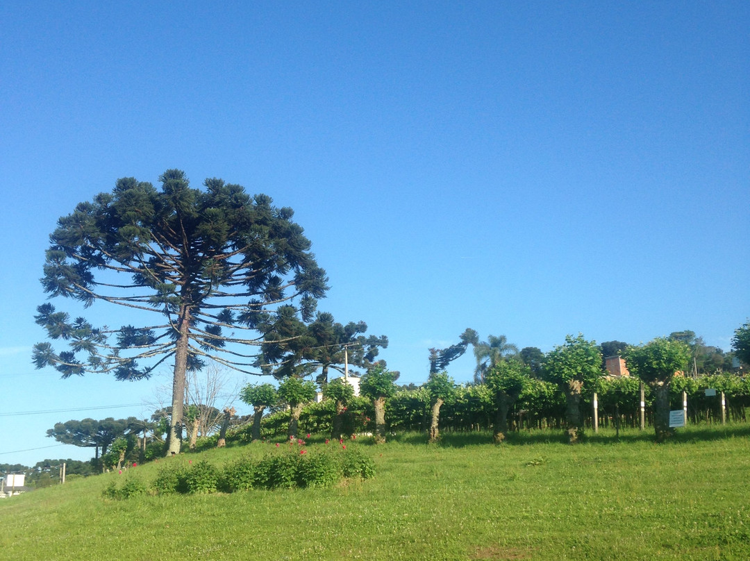 Villa Michelon主图