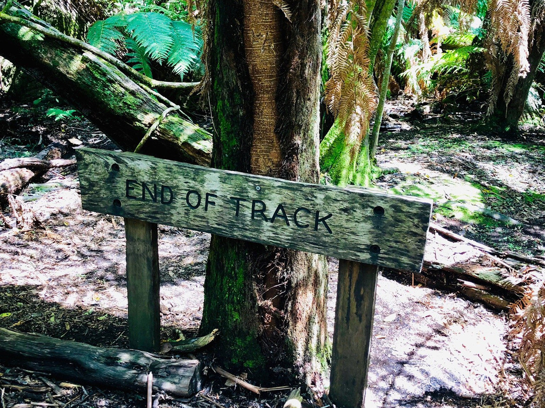 Ferntree Gully-Rylstone必去景点