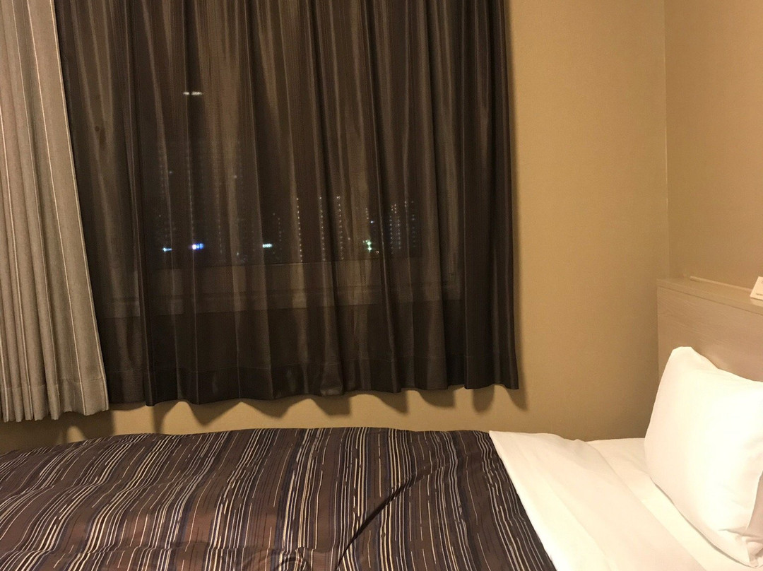 Hotel Route-inn Ebina Ekimae主图