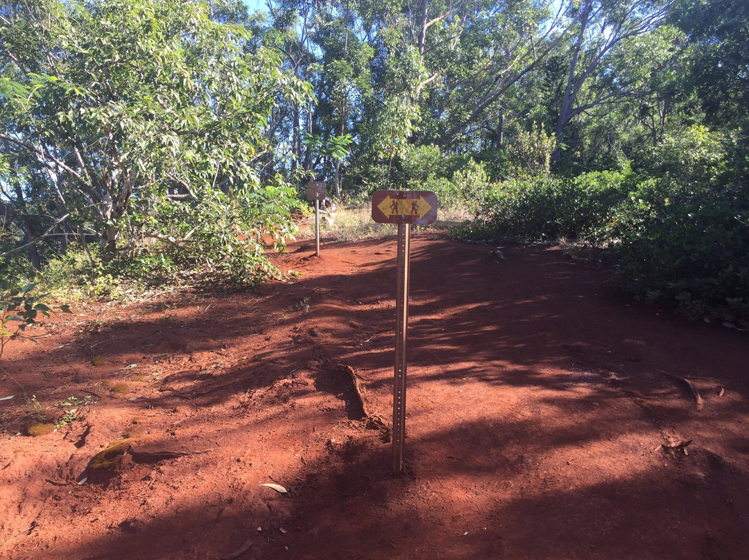Waimano Ridge Trail-珍珠市必去景点
