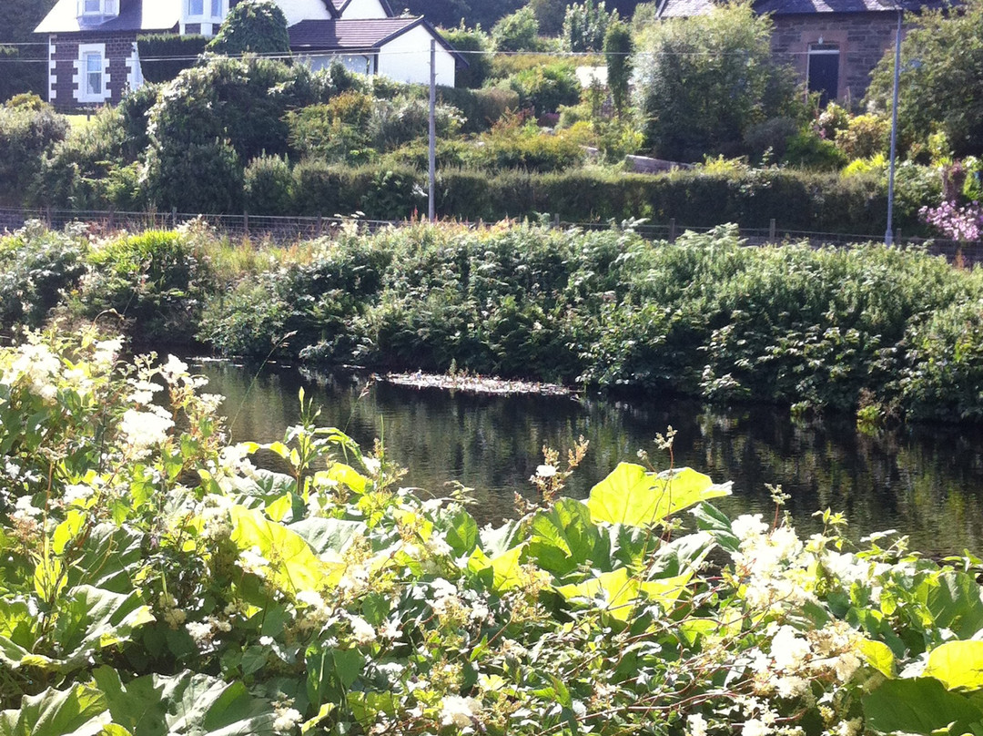 Crinan Canal-阿盖尔比特必去景点