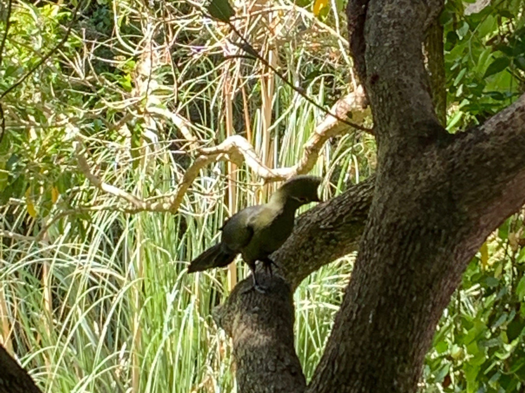 Kingfisher Country House主图