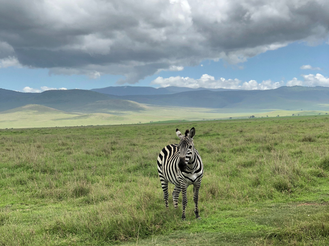 Watoto Wa Bingwa Safaris & Tours景点图片