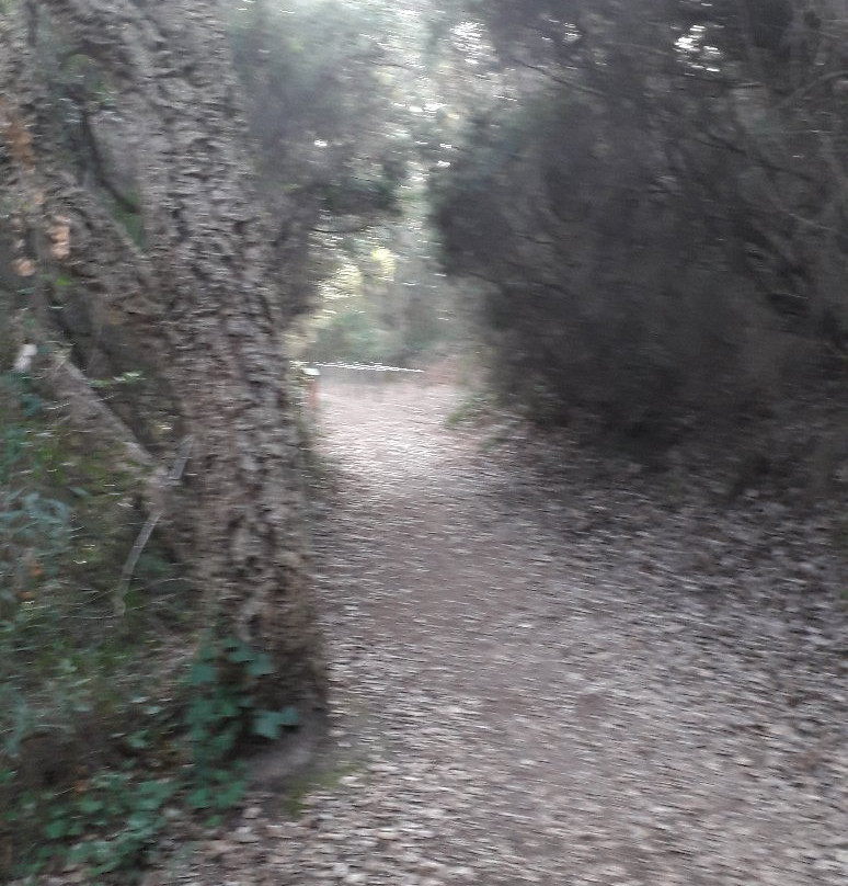 Parc de Vaugrenier景点图片