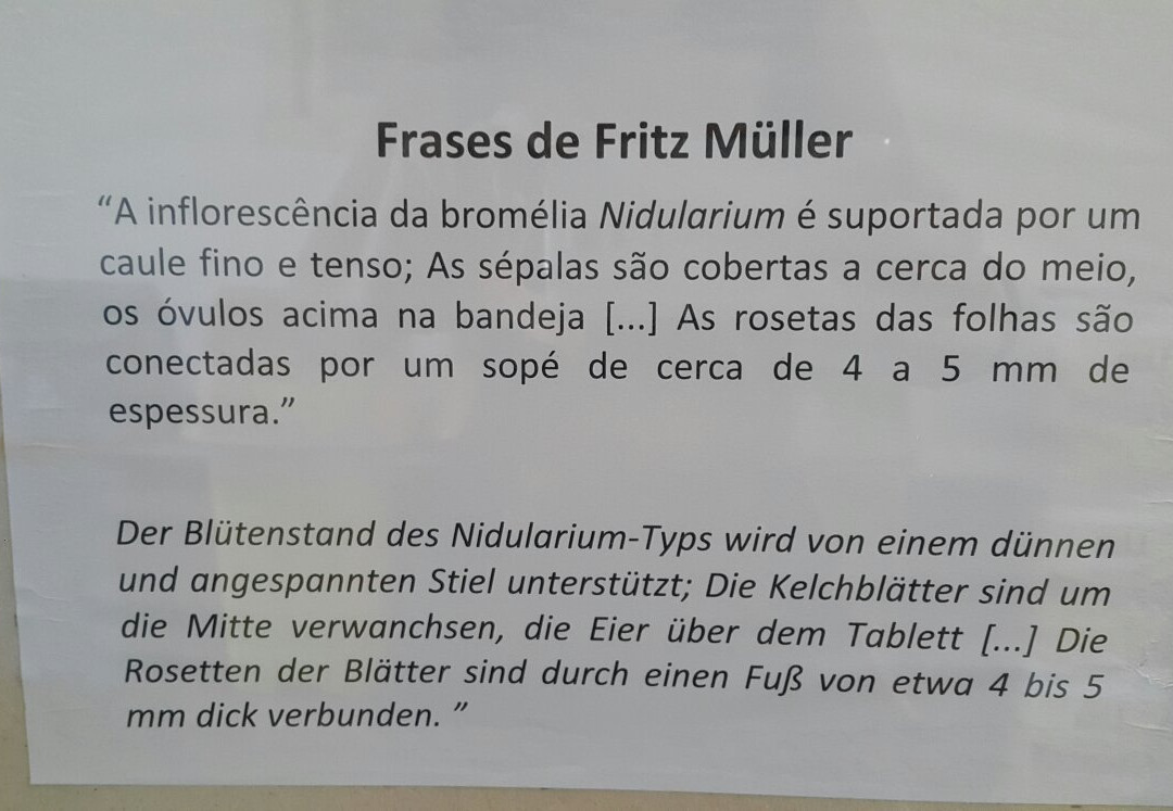Ecologia Fritz Muller Museum景点图片