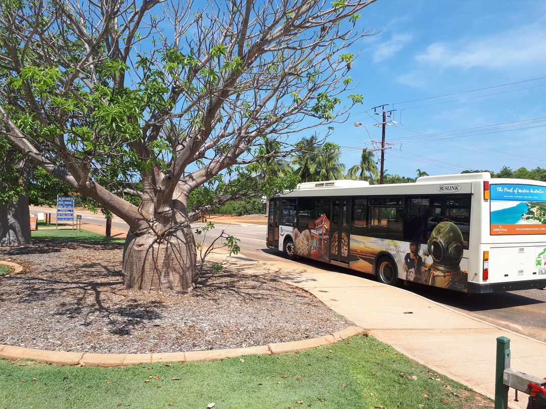 Broome Explorer Bus景点图片