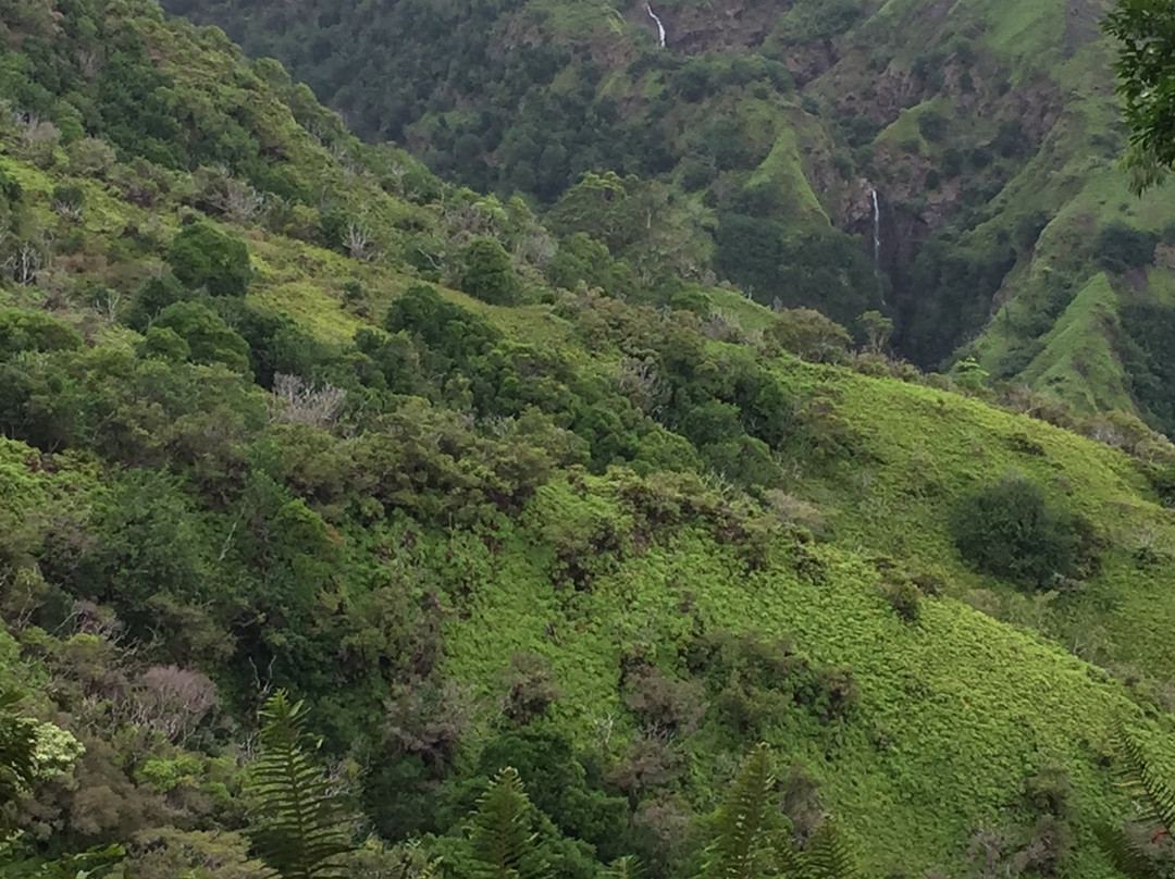 Waiheʻe Ridge Trail-Waihee必去景点