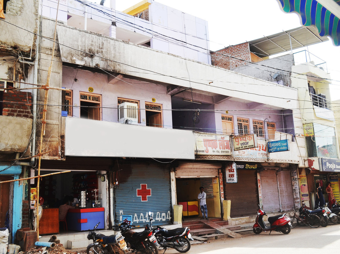 Hotel Pushpak Lodge