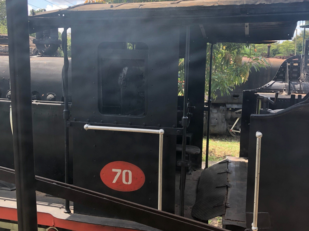 Railway & Gateway Jewish Museum-李文斯顿必去景点