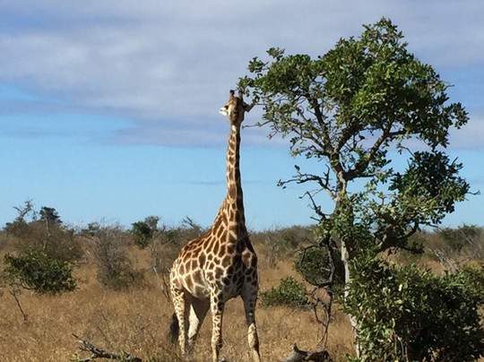 Red Hill Birding-芝加哥必去景点