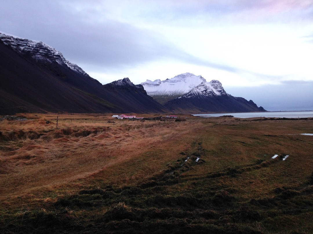 迪尼安蒂宾馆主图