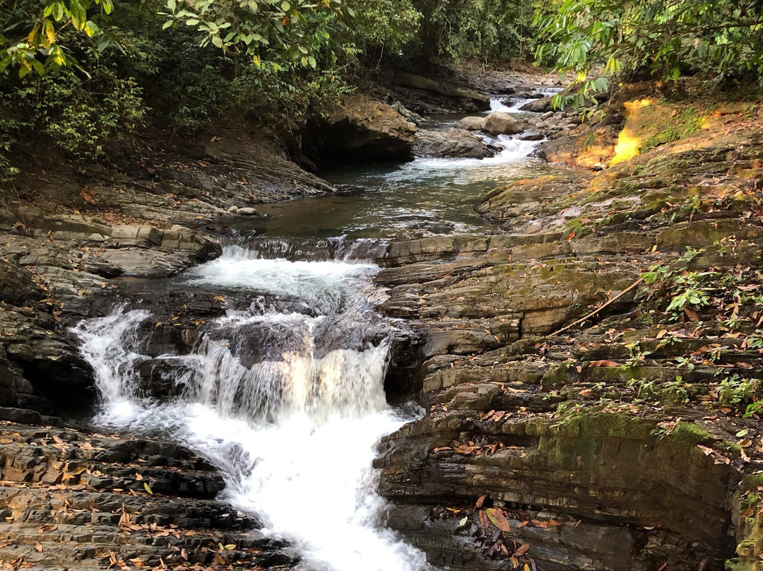 Cabinas y Restaurante Tilapias La Cascada主图