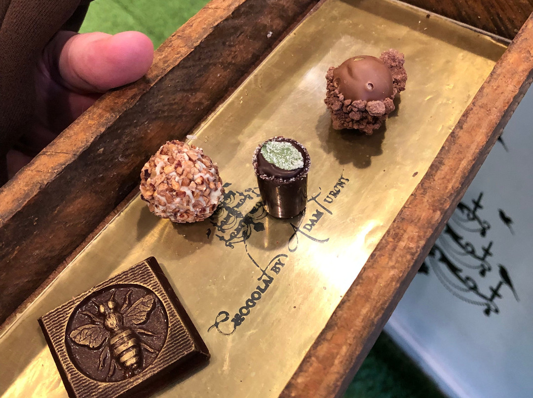Chocolat by Adam Turoni-萨凡纳必去景点