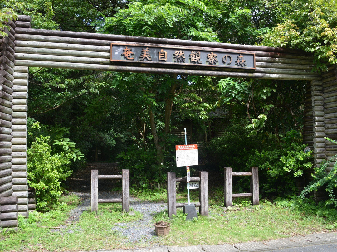 Amami Nature Observation Forest景点图片