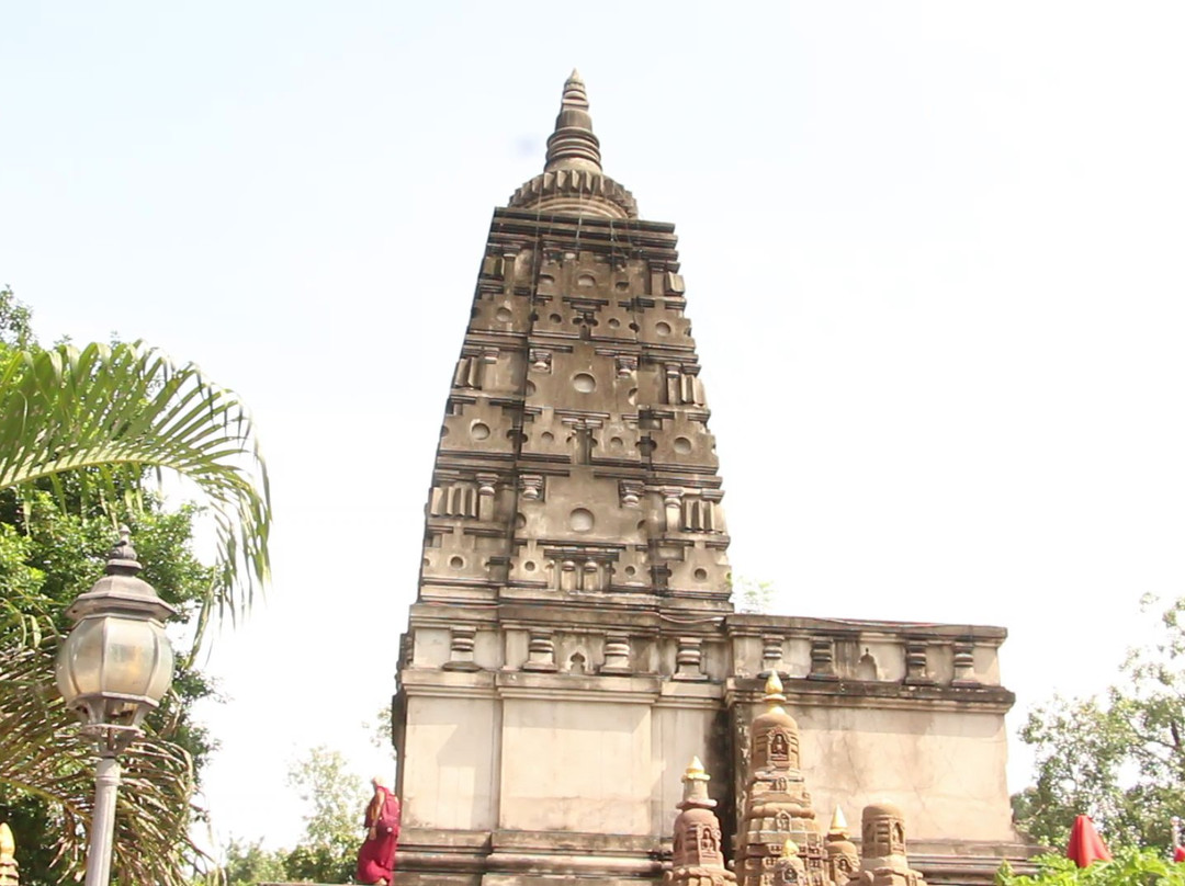 Sri Lanka Damsak Tours景点图片