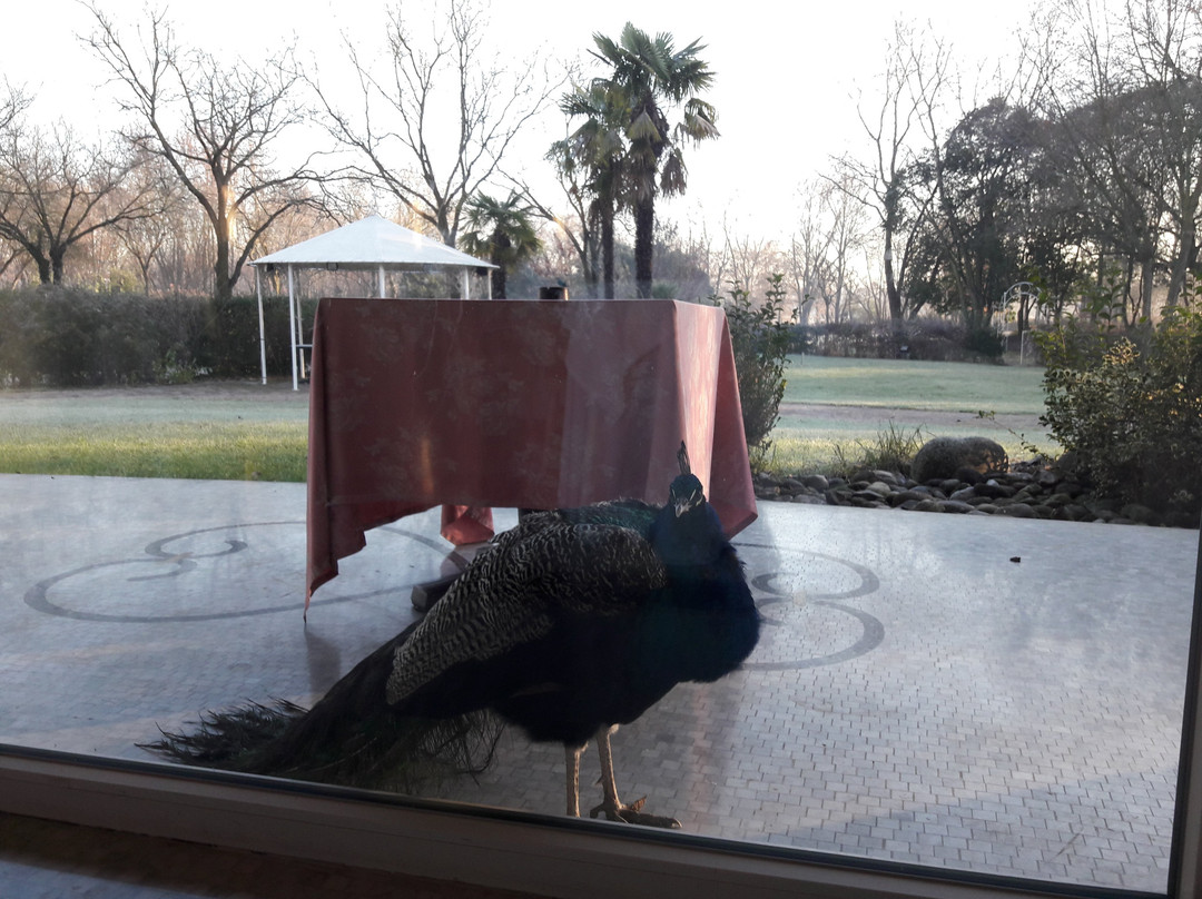 少年公园酒店主图