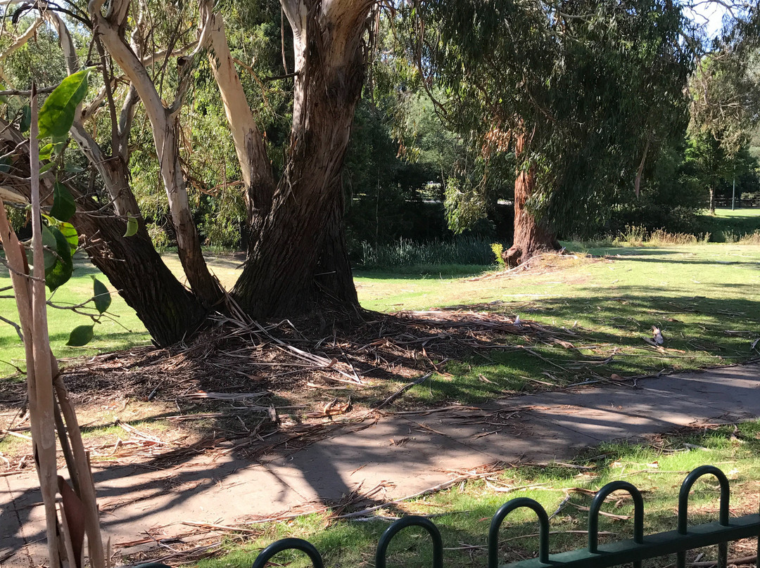 Gippsland Model Engineering Society-特拉拉尔根必去景点