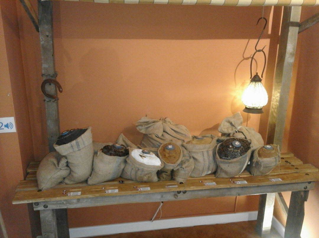 Museo de los Aromas-Santa Cruz de la Salceda必去景点