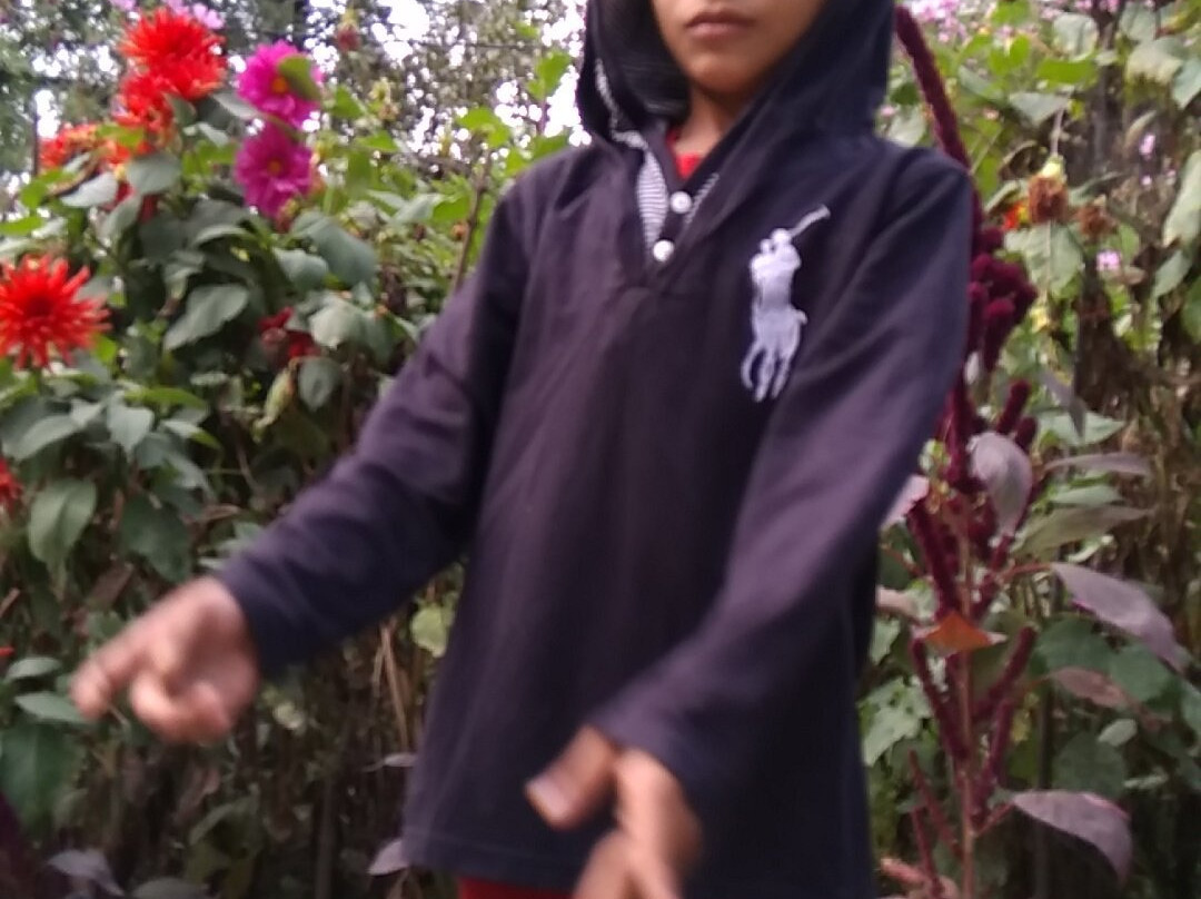 Pakistani Air Force Base Kala Bagh-Khyber Pakhtunkhwa Province必去景点