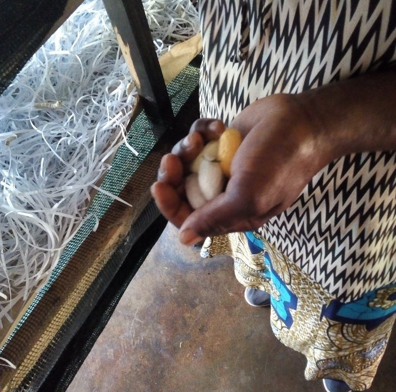 Africa Silks-赫拉斯科普必去景点