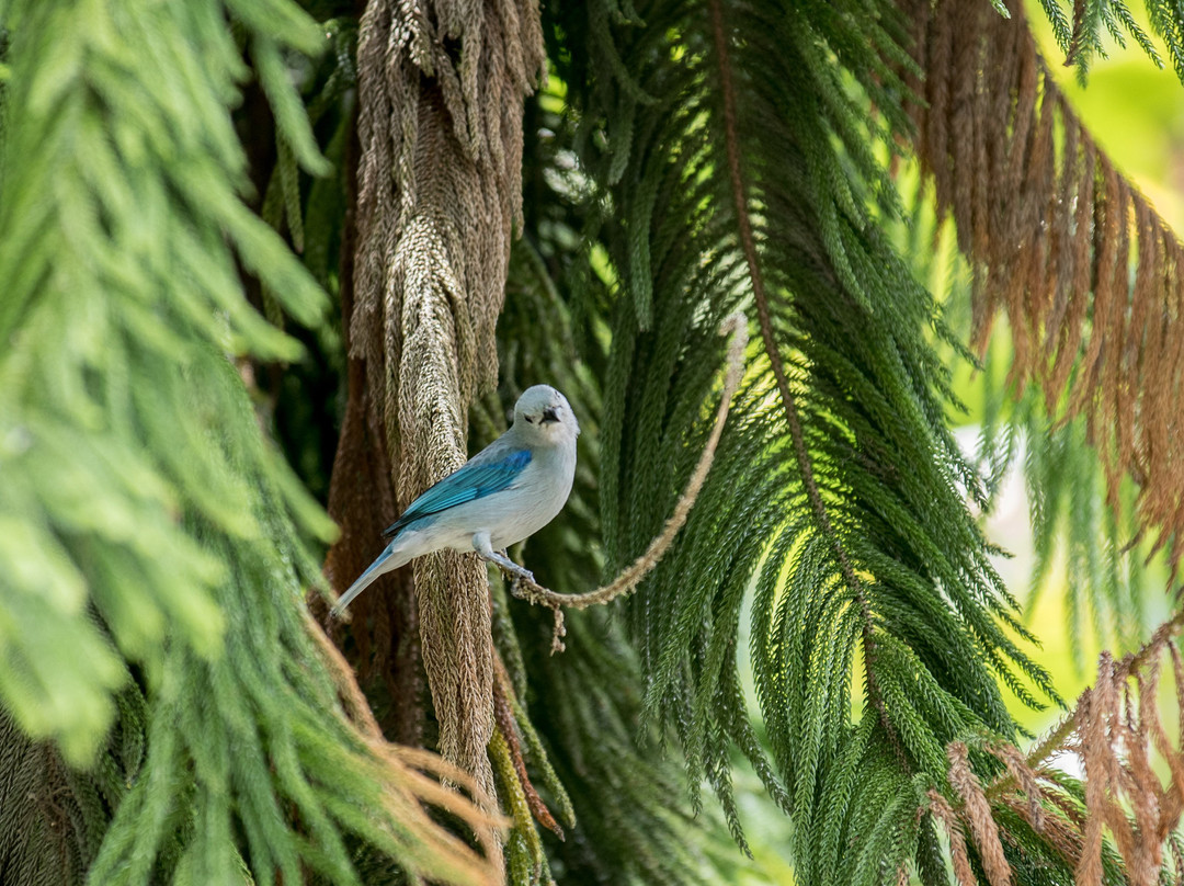 Finca Hotel Paraiso Terrenal主图