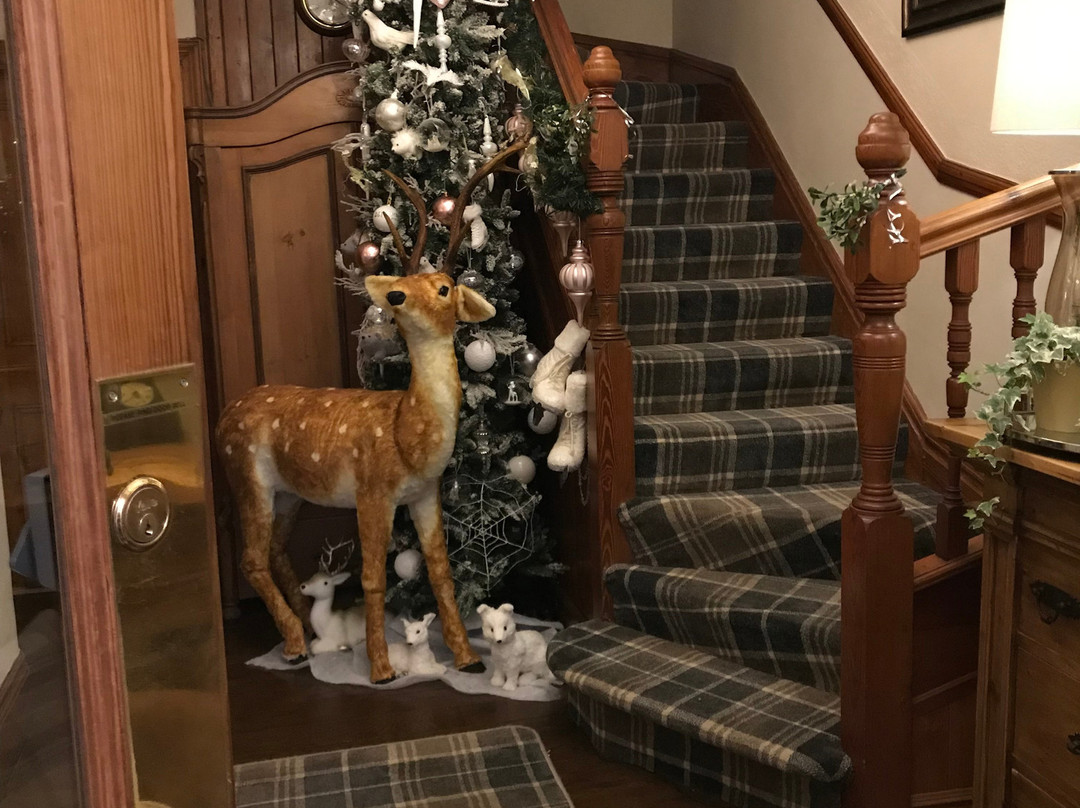 Balcony House Bed and Breakfast主图