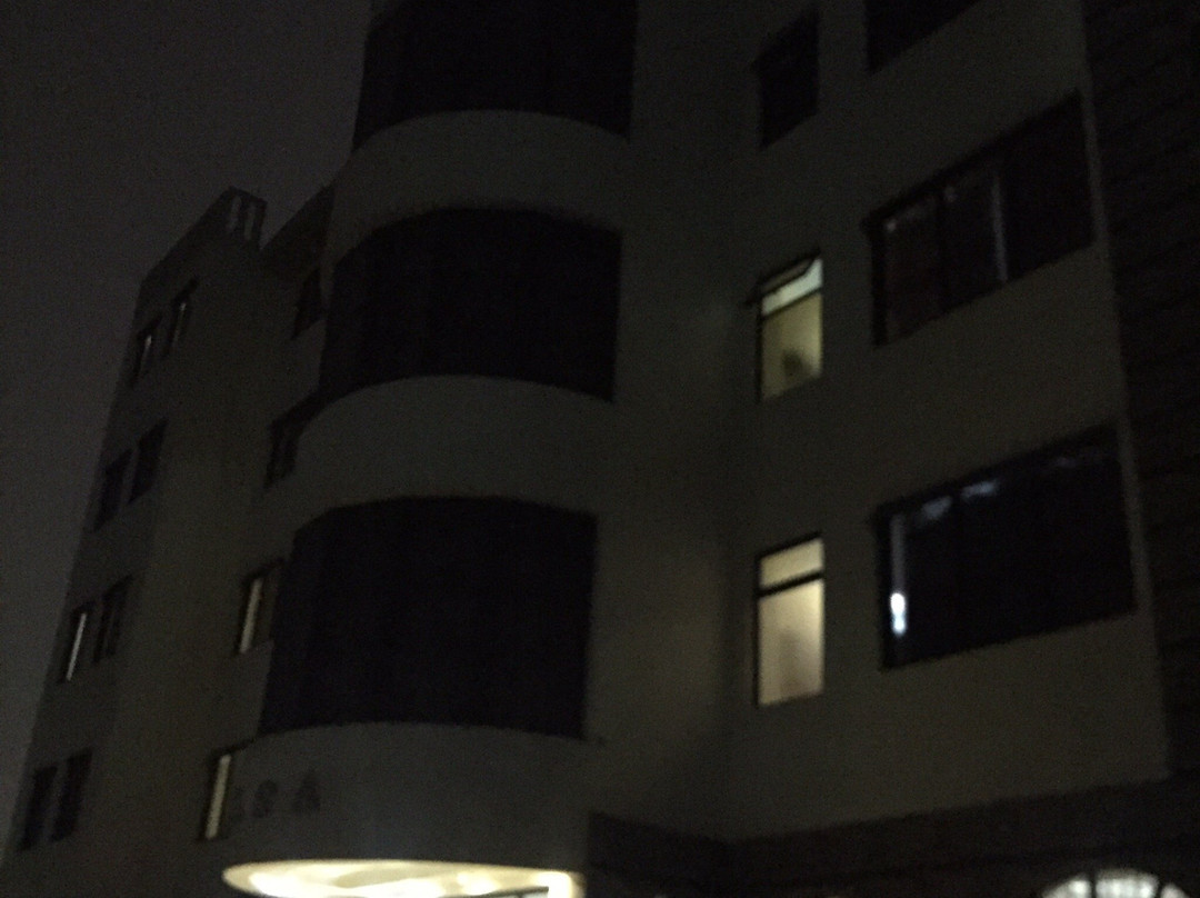 Elsa Hotel Meru主图