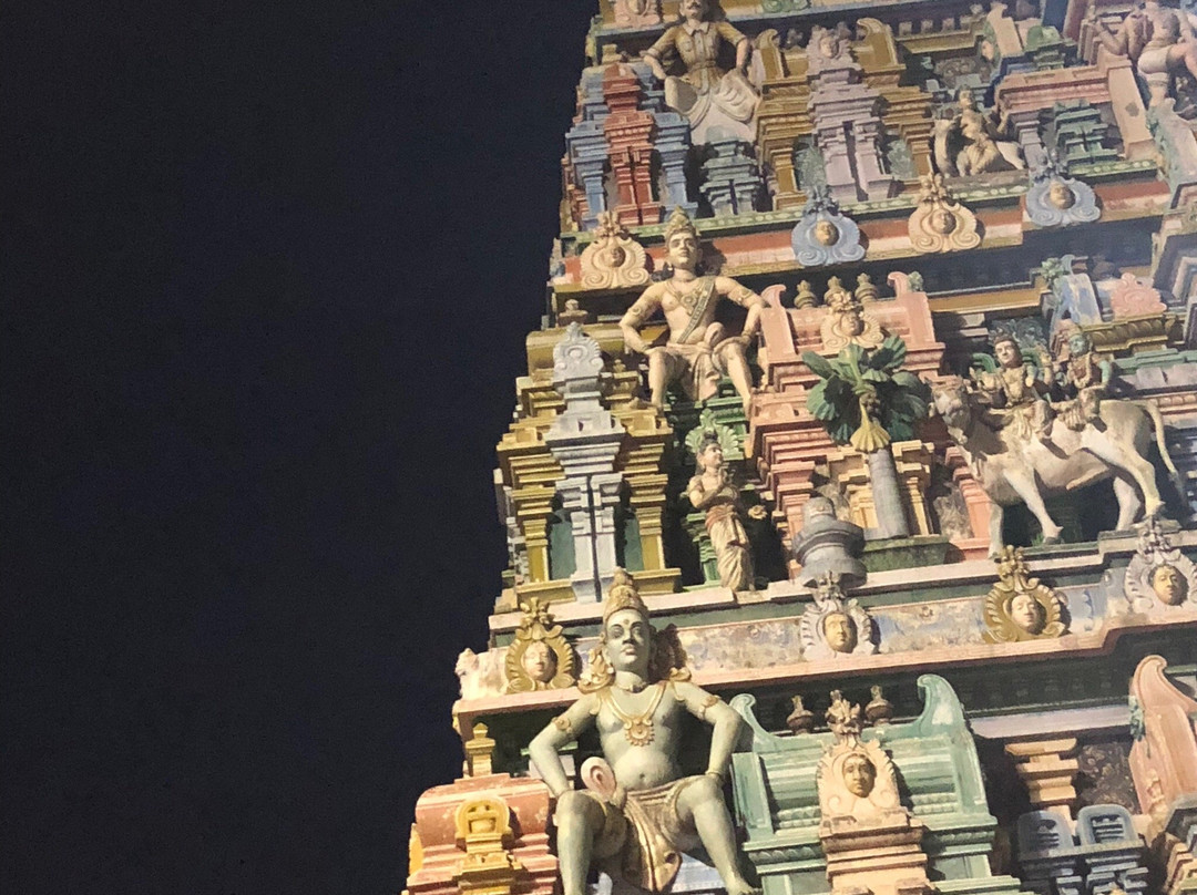 Vedapureeswarar Temple景点图片