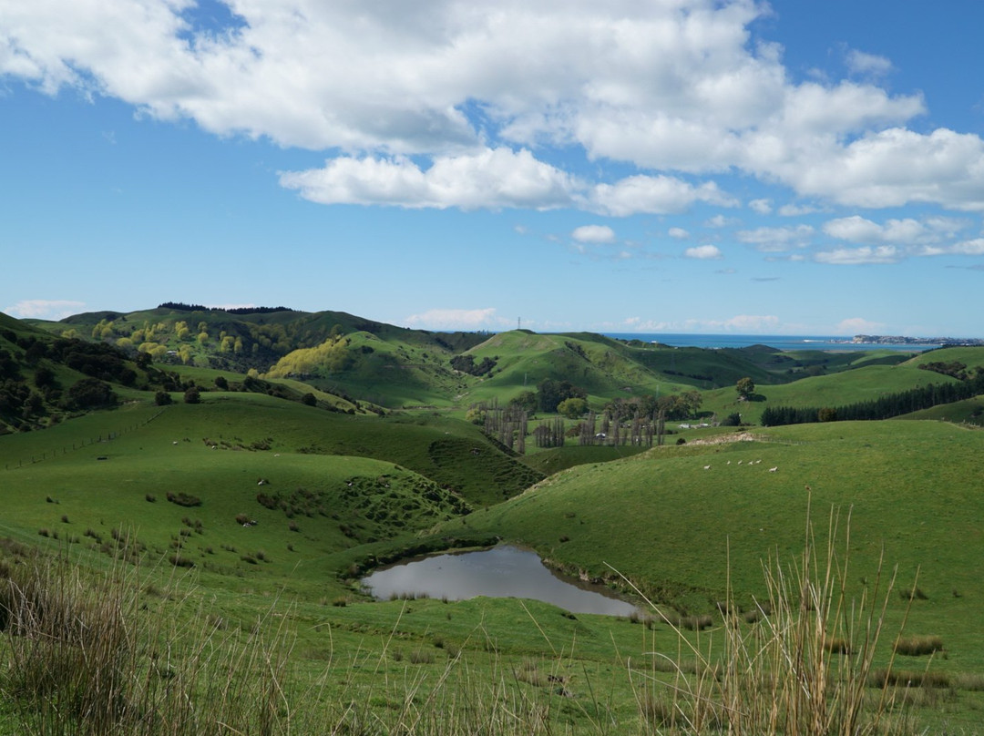 Hawke's Bay Escapes景点图片