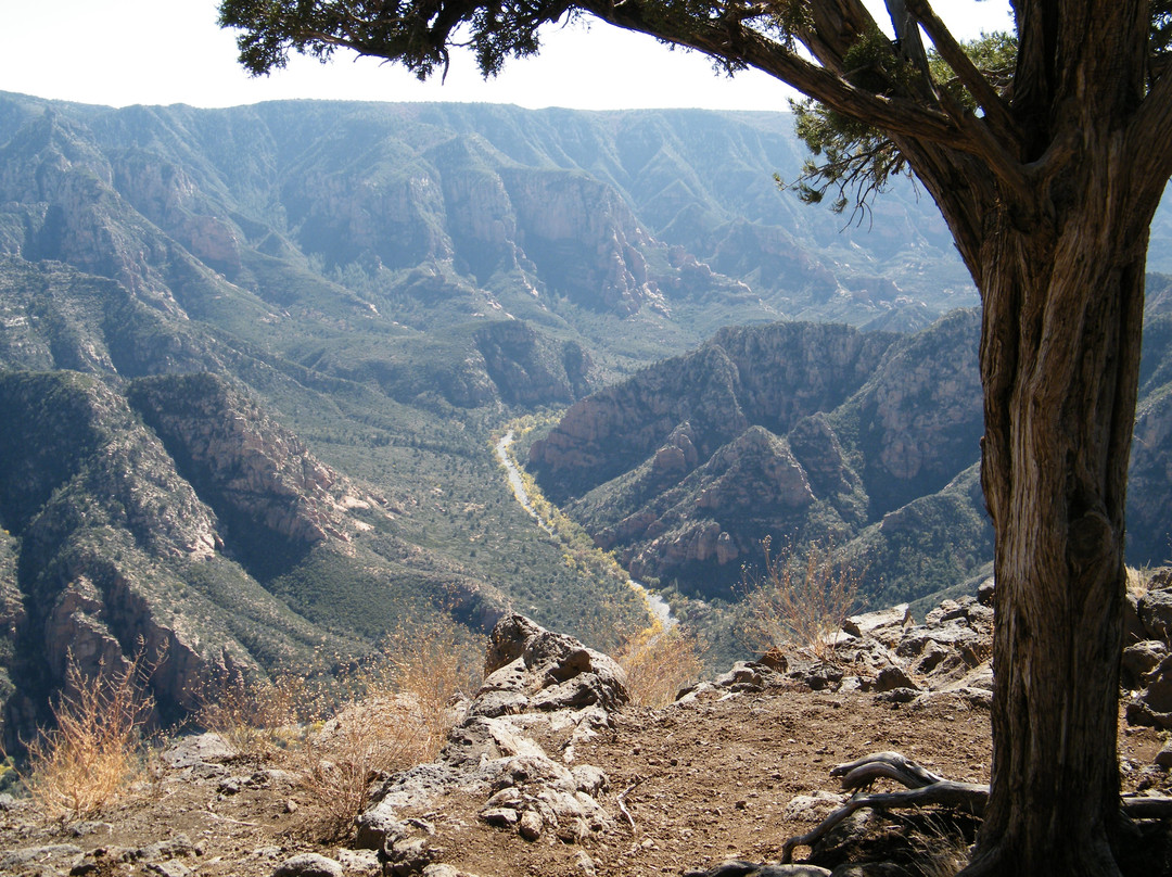 Sycamore Canyon景点图片
