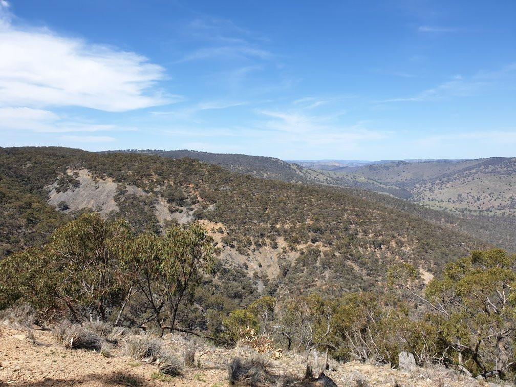 Merlins Lookout-Hill End必去景点