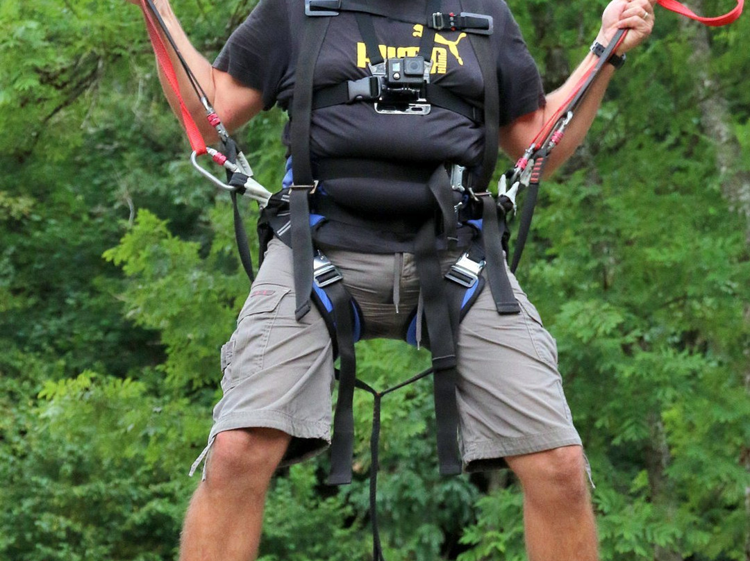 Parc Arbre Aventure-Kruth必去景点