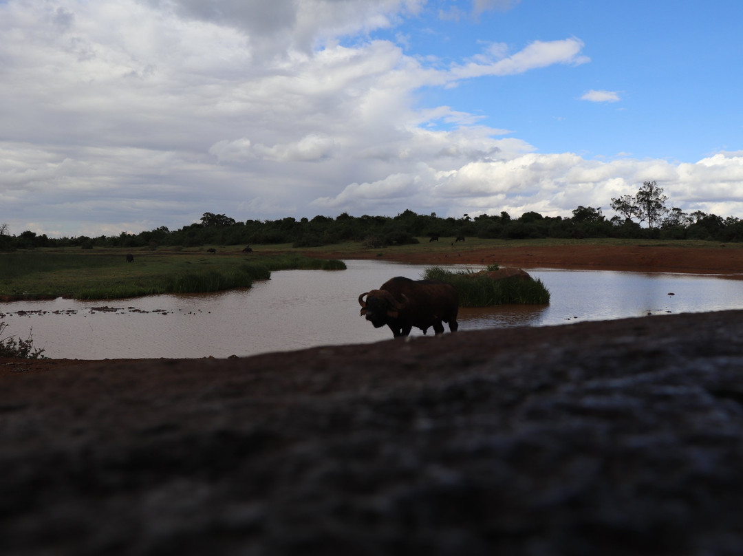 方舟山林小屋主图