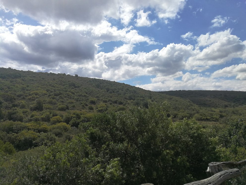 Zee's Cape Tours-Kraaifontein必去景点