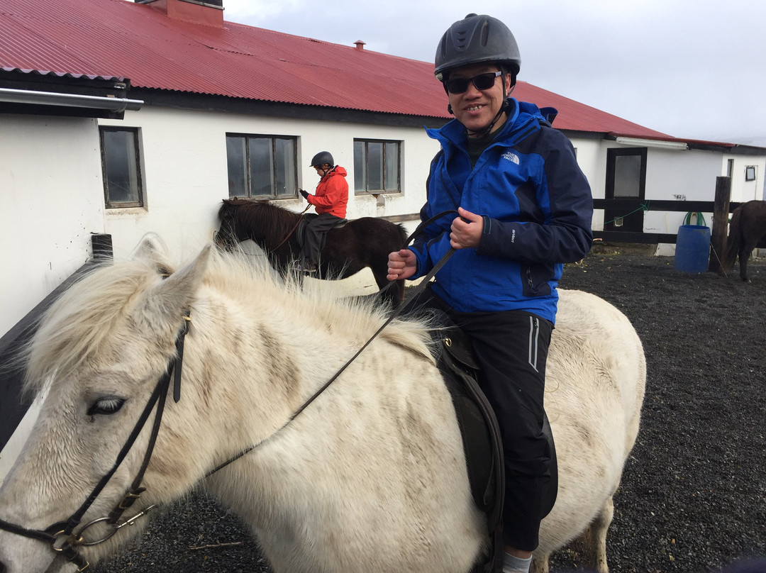 Skjaldarvik Tours-阿克雷里必去景点