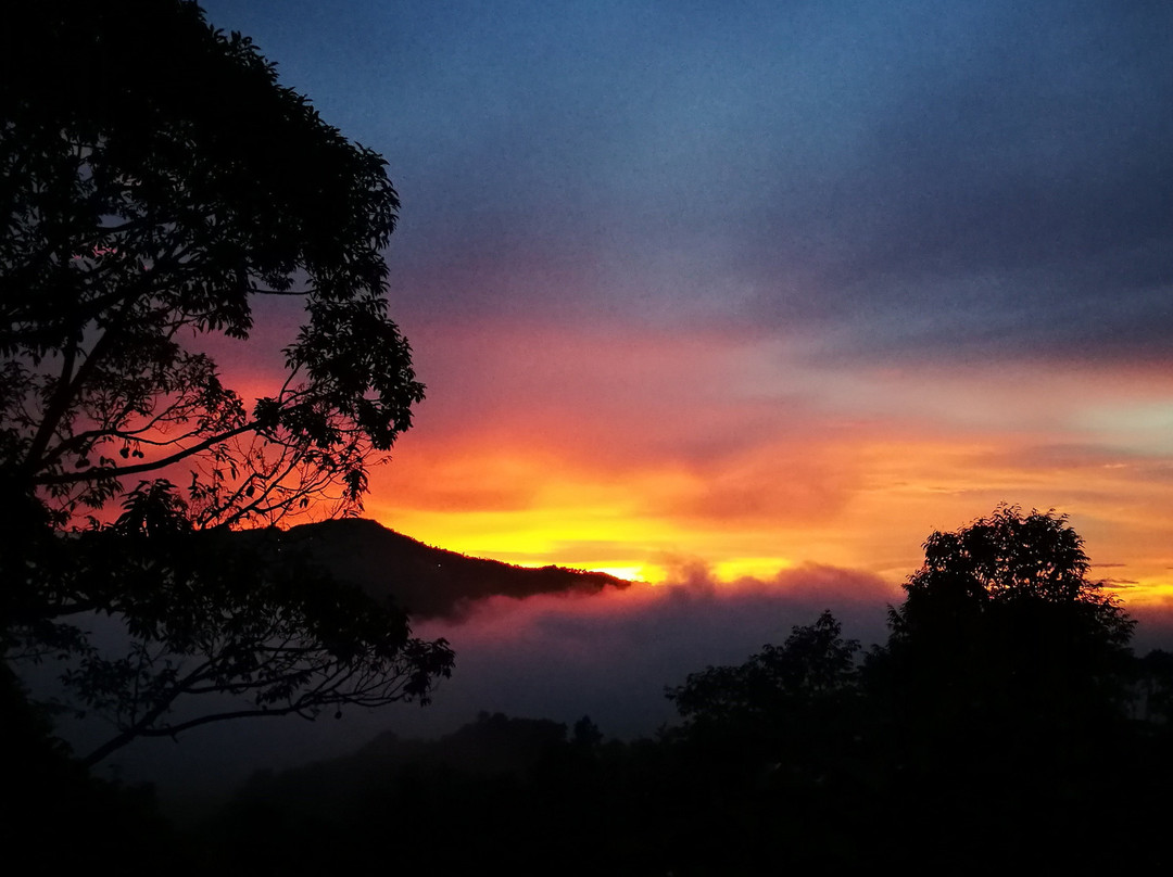 Borneo Orchard House主图